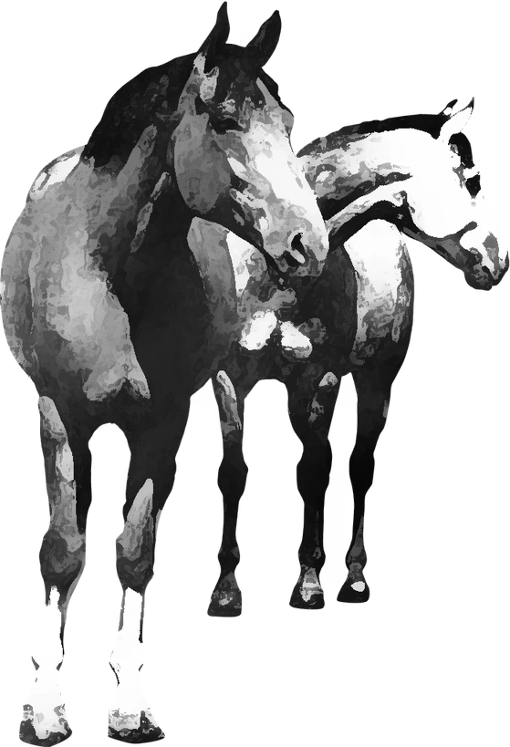 Centre équestre Poney Club Equi-Libre, Château-Chervix — deux chevaux